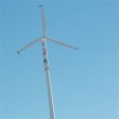 Windmill breezes through first year